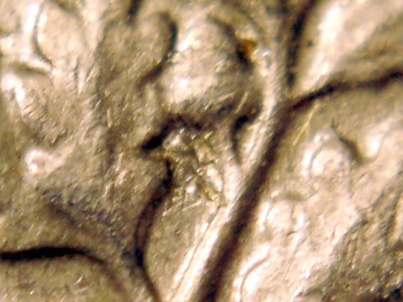 1988-P-Roosevelt-Dime--What-Is-That--Metal-Below-The-Acorn?